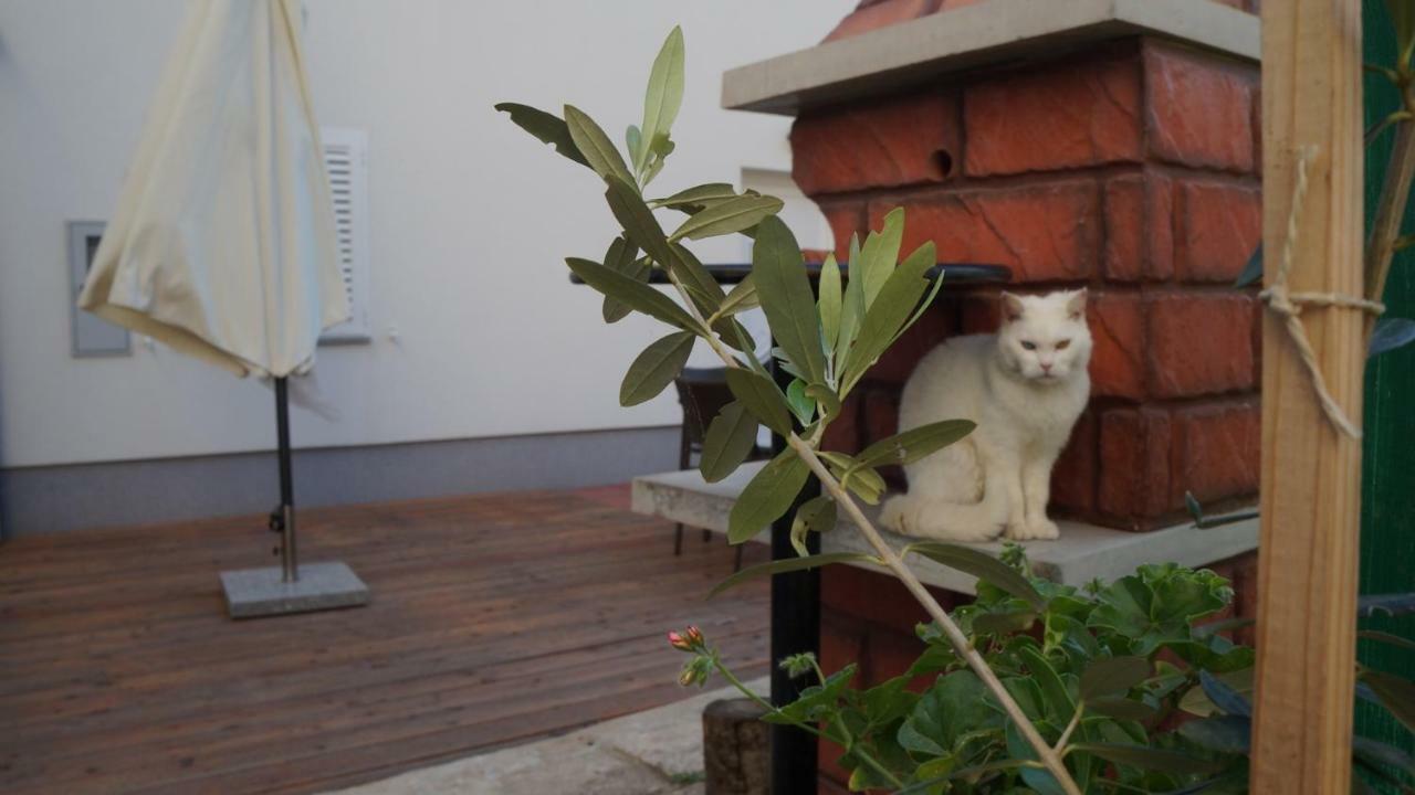 Apartmani Filip Zadar Diklo Exterior foto
